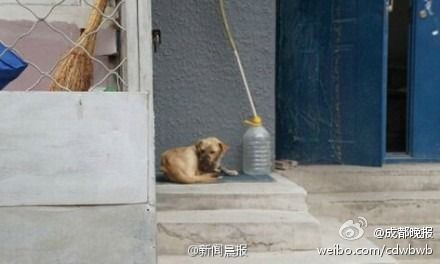 微博图